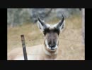 動物園・水族館めぐりの旅【金沢動物園】
