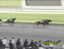 2012.5.27  盛岡競馬  ＡＡＢ秋田朝日放送杯 あすなろ賞