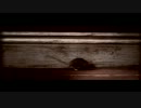 チーズCM - YouTube.mp4
