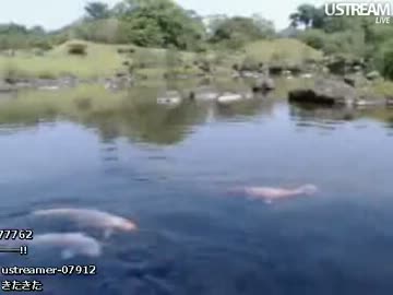 石川典行 九州配信2-64