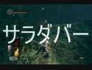 【実況】DARK SOULS解説実況第１８回【でもヘタレ】