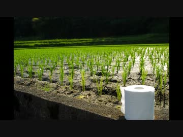 続・nepia ～おしりセレブ～