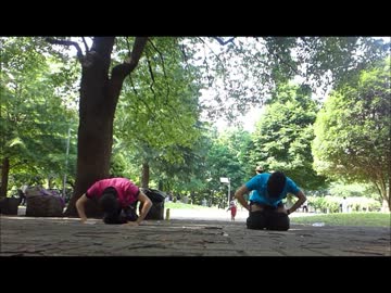 【インディ】二次元ドリームフィーバー　踊ってみた【マイキー】