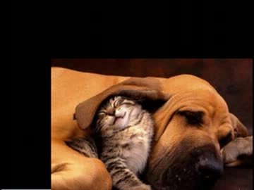 【J-POP】青春時代の大好きな懐メロたち⑩【作業用BGM】