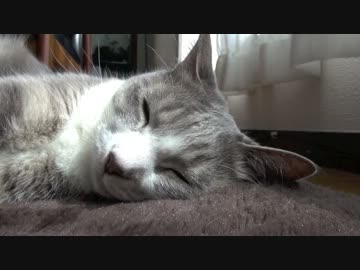 モアレとクリエ 「モアクリ・アラカルト」