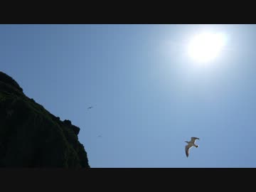 【地域紹介PV】飛島