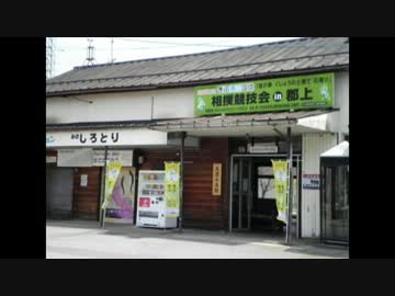 Z750Sで岐阜県　県道317号線を走ってみた。