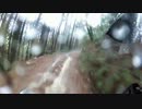 KLX125で雨林道に行ってみたパート2