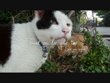 江ノ島ツーリング