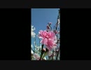 Singer Song Writer - 藤田 翔　　『弾き語り』