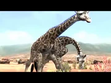 鎌首の『AFRIKA』満喫生活(20)