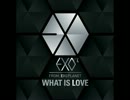 LiON-What Is Love(EXO-K)