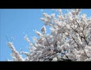 幻想曲「さくら　さくら」.mid