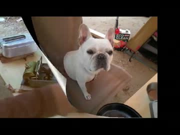 本日のソロキャンプ１　２日目　夕食