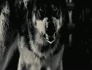 Folk Implosion - "Simean Groove"