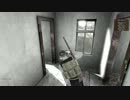 DayZ - わけわかんないままSurvivorに敬礼する動画