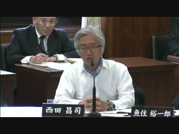 H24/05/30 参院【憲法審査会・討議】西田昌司/佐藤正久/片山さつき他