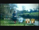 forêt noire 釘宮理恵 1stアルバム Music Clip