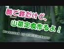 酷で鉄だけど、山菜定食作るよ！【緑の野祭・出品作】