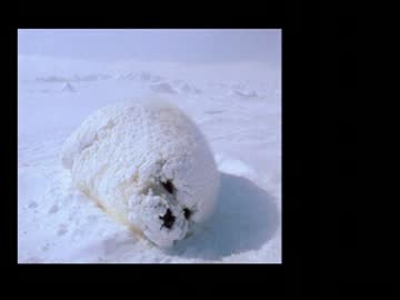 【J-POP】青春時代の大好きな懐メロたち⑪冬編【作業用BGM】