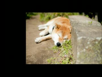 【J-POP】青春時代の大好きな懐メロたち⑫春編【作業用BGM】