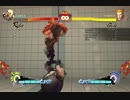 ガイルガー不対ルーファス.mp4