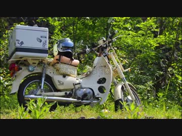 【はたらくくるま】で初夏散歩（上野村～秩父編）