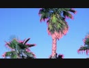 Moon Pollen - Everything Gets Blur