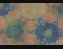 Moon Pollen - Shine