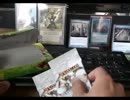 MTG　青年のやる開封動画94　アヴァシンの帰還8