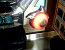 120531_194056.3gp