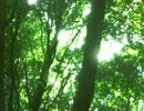 （こりずに歌ってみた）「just be friends」　by レギオン