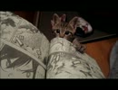 生後2カ月の子猫チビ―漫画―