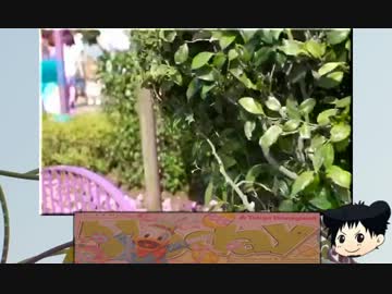 【TDL】おひとりさまツアーさせられた。【5月】
