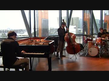 Torque Trio - Jungle 2012