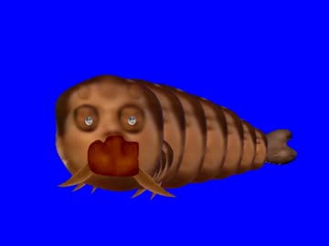 モスラ幼虫先輩BB