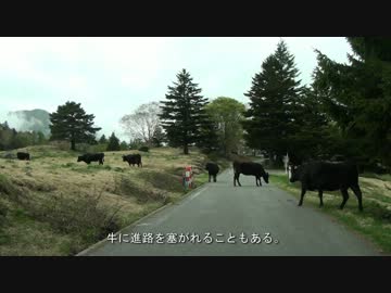 【CM】車載動画を撮ろう！ 【便乗してみた】