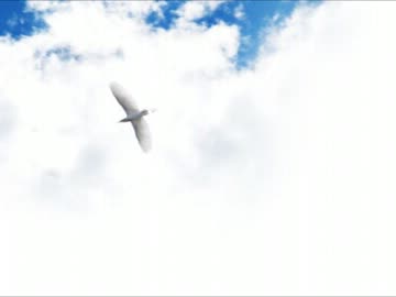オリジナル曲♪ツナイダテノヒラ