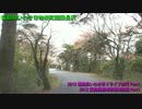 いわきドライブ旅行磐城開車旅遊2012Part1