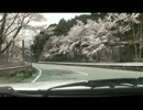 奈良へ・・・　桜咲くR166を走ってみました