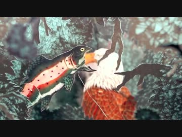 Hop Along - Tibetan Pop Stars