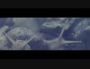 【Poliça】 - Amongster 2012