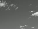 「いつか見た青い空」　白土麗