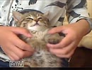 子猫のレオ抱っこ