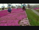茶臼山・芝桜の丘