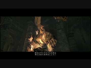 【ドラゴンズドグマ】何か選ばれし者らしいので旅に出る Part 14【実況】