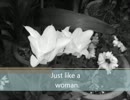 T-SQUARE　Just like a womanを演奏してみました