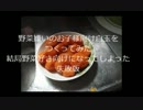 野菜白玉BGM版