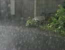 rain stops good-byeをギターで弾き語りしてみた【おこめ】
