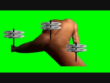 死んだペットの野獣を剥製にしてヘリコプターに改造したＧＢ